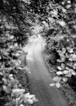 Highest Good Collective